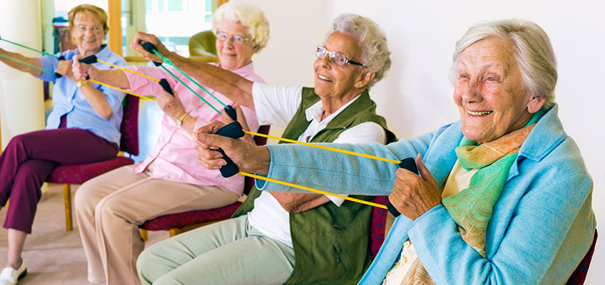 Healthy Living Tips for Seniors