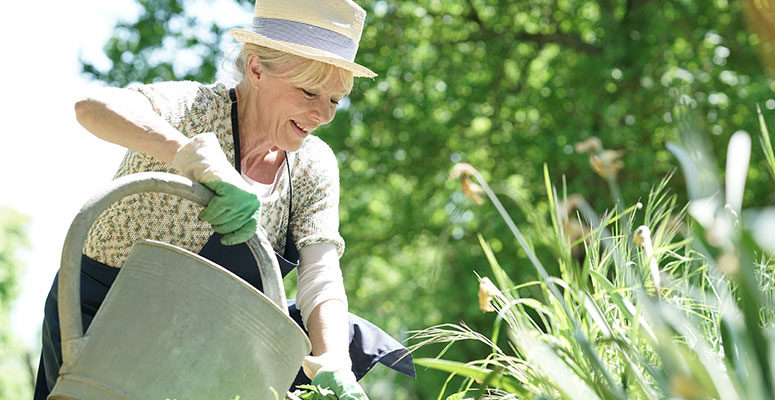 Spring Health Tips for Seniors